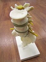 Therapieverfahren